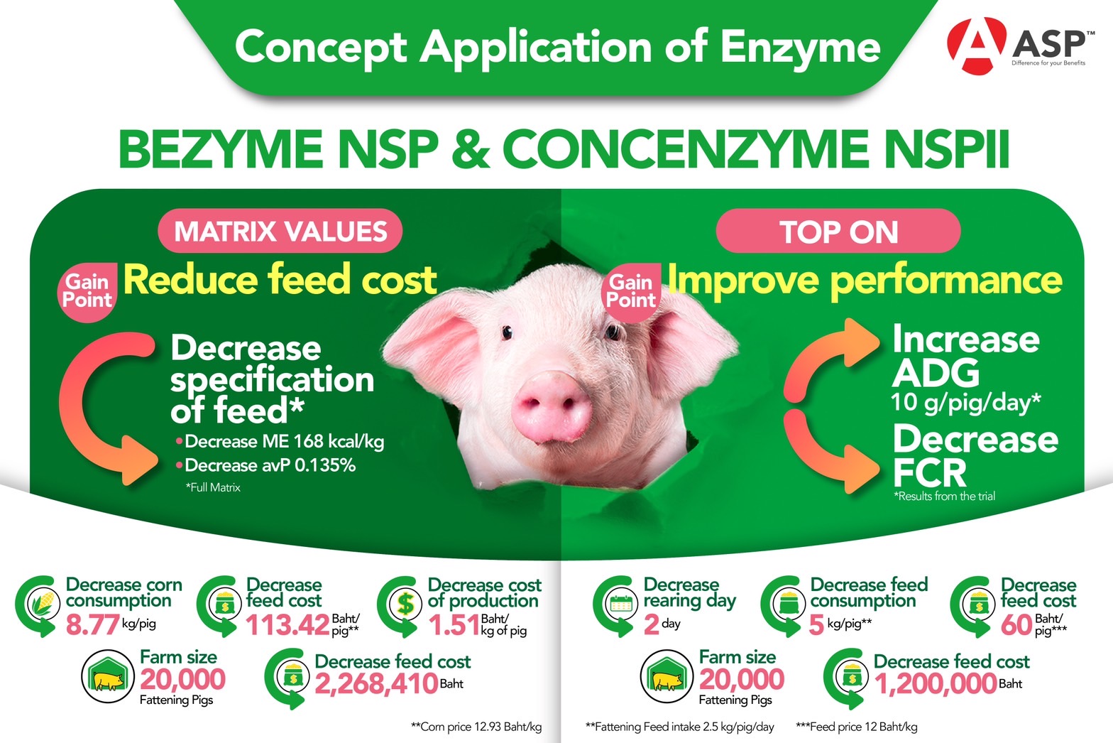 Concept of using enzymes to solve the continuously rising cost of raw